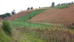 INTA realizará mapas de zonificación agropecuaria en seis cantones de la Región Central