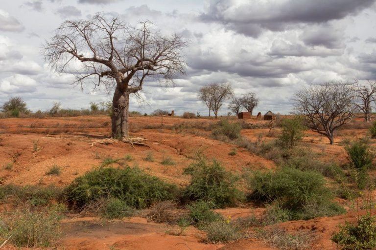 Más del 50% del suelo agrícola a nivel mundial está degradado mediana o gravemente