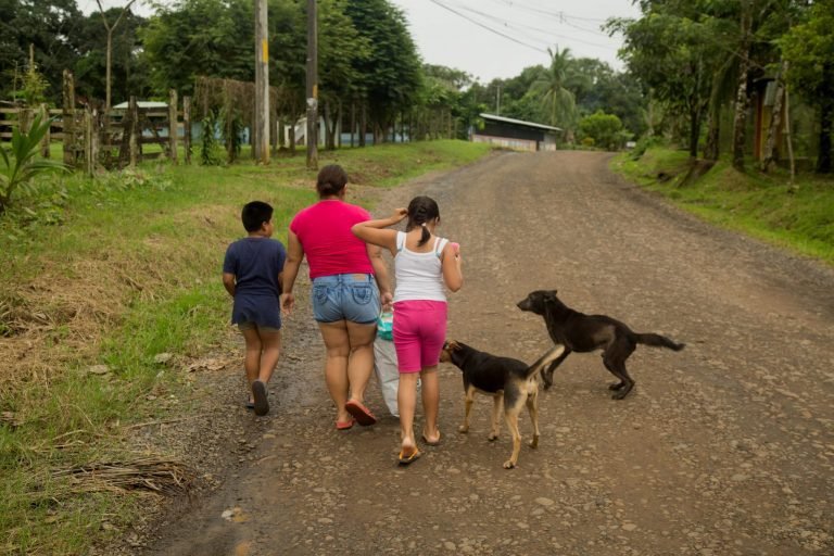 Siete perros han sido atropellados en las últimas horas en Upala