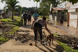 Alto flujo vehicular en Upala ocasionó atropello de siete perros