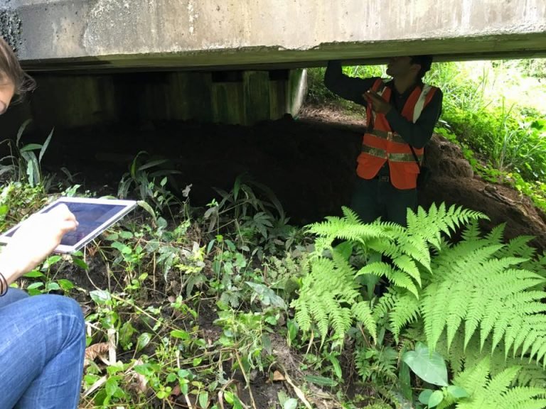 LANAMME utiliza app para analizar estado de puentes de manera más eficiente