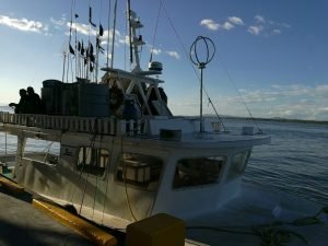 INCOPESCA establece zonificación y tallas mínimas para fortalecer sector pesquero en Guanacaste