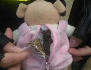 Decomisan peluche con marihuana a colegial
