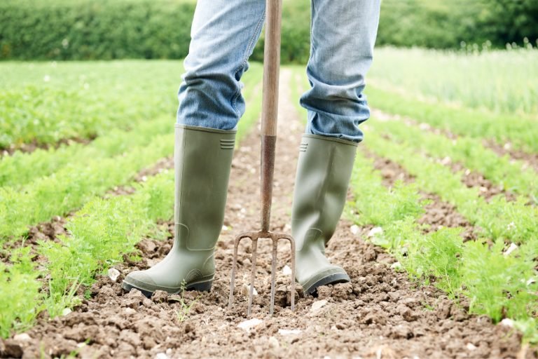 Costa Rica es sede del I Simposio Internacional de Agricultura Orgánica y Producción Sostenible