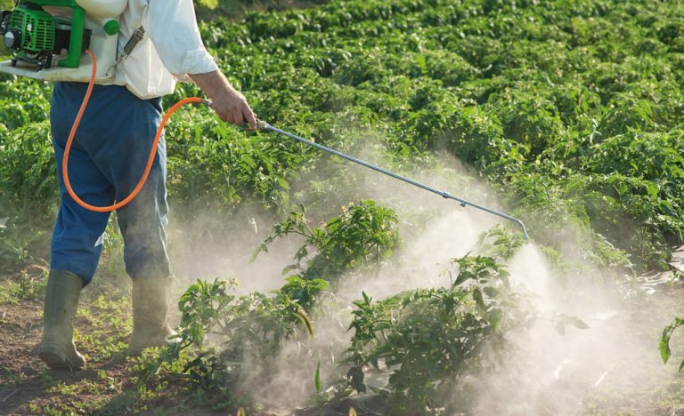 Más de 13.000 productores agrícolas han sido capacitadas en el uso correcto de agroquímicos