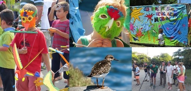 Comunidades de Osa serán sede de festival de aves migratorias