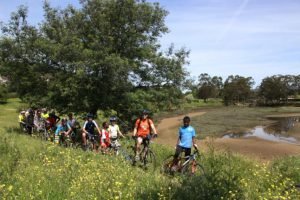 La bicicleta cumple 200 años, ahora dotada de alta tecnología