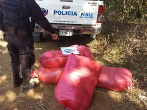 Policía de Fronteras decomisó en Los Chiles millonaria carga de plantas medicinales