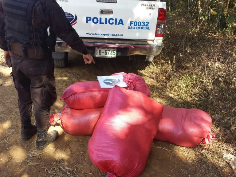 Policía de Fronteras decomisó en Los Chiles millonaria carga de plantas medicinales