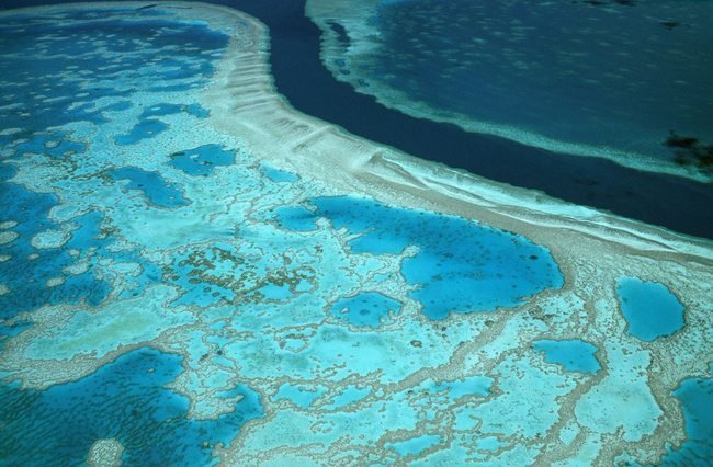 La Gran Barrera de Coral sigue estando amenazada