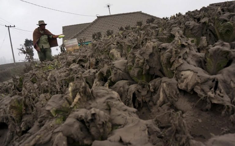 Banca para el Desarrollo aprueba línea de crédito para atender afectados por erupciones del Volcán Turrialba