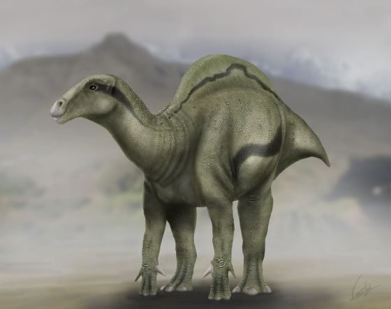 Huesos desenterrados en España revelan un nuevo dinosaurio