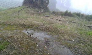 400 réplicas, daños estructurales y derrumbes tras sismo en Capellades de Cartago