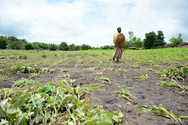 108 millones de personas padecen grave inseguridad alimentaria