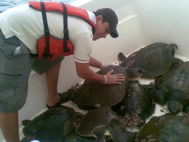 Ambientalistas pedirán al Gobierno indulto para guardaparques condenado a 12 años de cárcel