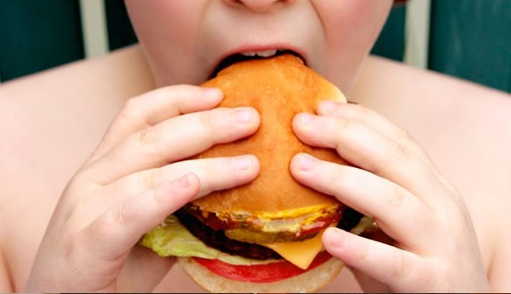 Etiquetado especial en alimentos busca retar la obesidad en habitantes