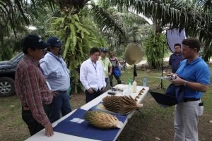 Experiencia de Costa Rica en el procesamiento de palma aceitera fortalece desarrollo de proyecto en México