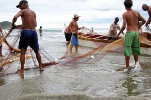 Vulnerabilidad de los pescadores de pequeña escala es pronunciada, señala informe de la FAO