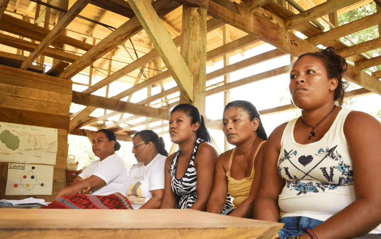 TEC apoya y asesora a once organizaciones de mujeres en Talamanca