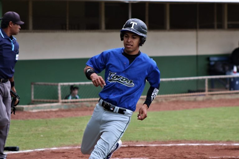 Toros sigue líder en el campeonato de béisbol de primera división