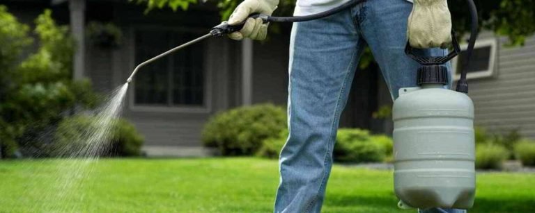 Desamparados no gastará más dinero en herbicidas