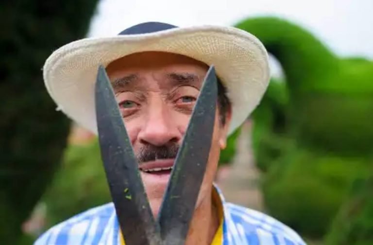 Sacerdote despidió a jardinero que dio vida durante 50 años al parque de Zarcero