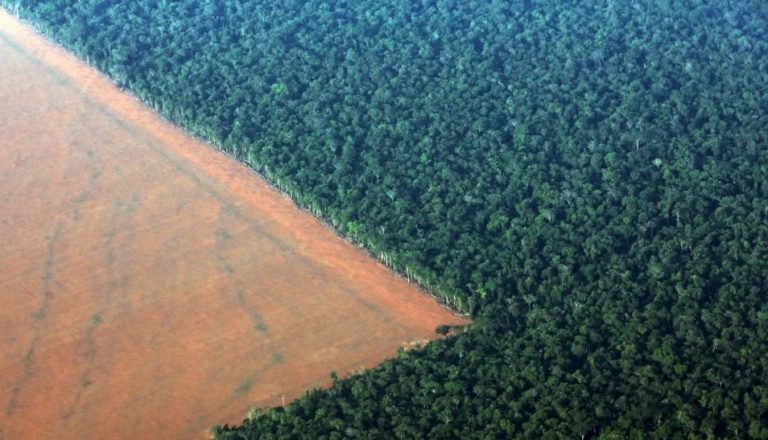 América Latina peligrosa para defensores del medioambiente
