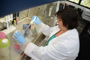 Microbiólogos de la UCR descubren nueva bacteria