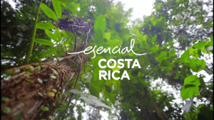 Esencial Costa Rica continúa trabajando para posicionar al país internacionalmente