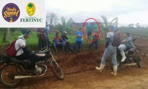 Finca piñera impide ingreso a trabajadores que formaron sindicato