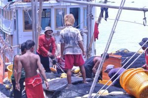 Transferencia de conocimiento es una de las contribuciones clave de la migración