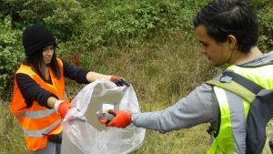 Sector turismo celebra día de los Parques Nacionales con jornadas de limpieza