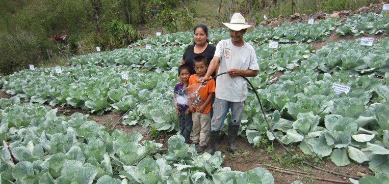 Catie impartirá curso sobre Agricultura Climáticamente Inteligente