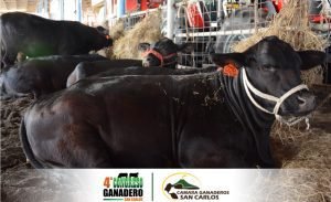Congreso Ganadero busca intensificar la producción y rentabilidad del sector
