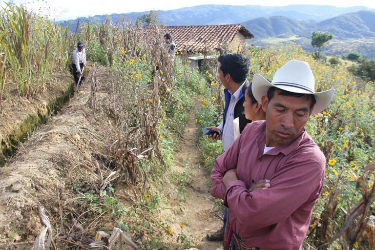 FAO: Políticas sobre migración no deben limitarla, sino maximizar su potencial