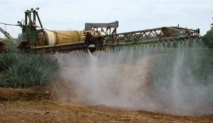 Ecologistas solicitan prohibir Paraquat, agroveneno ilegal en 40 países