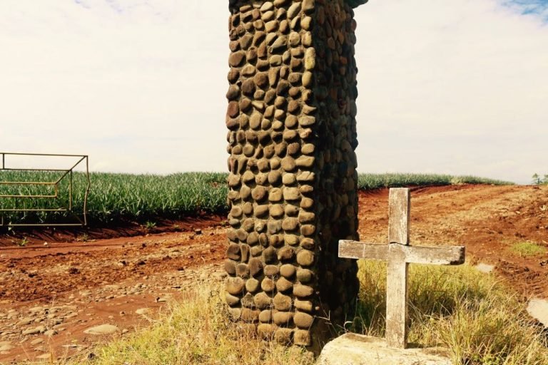 Fecon denuncia que CICA evitaba publicar datos sobre contaminación por agroquímicos de piñeras