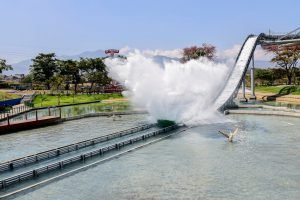 Parque Diversiones no solicitará código QR de certificado de vacunación