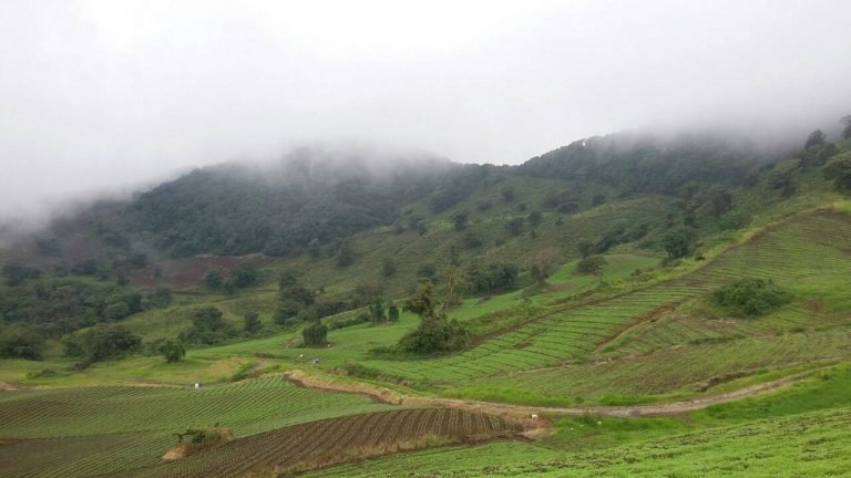 Comienza análisis de integridad ecológica en el Chayote y Río Toro