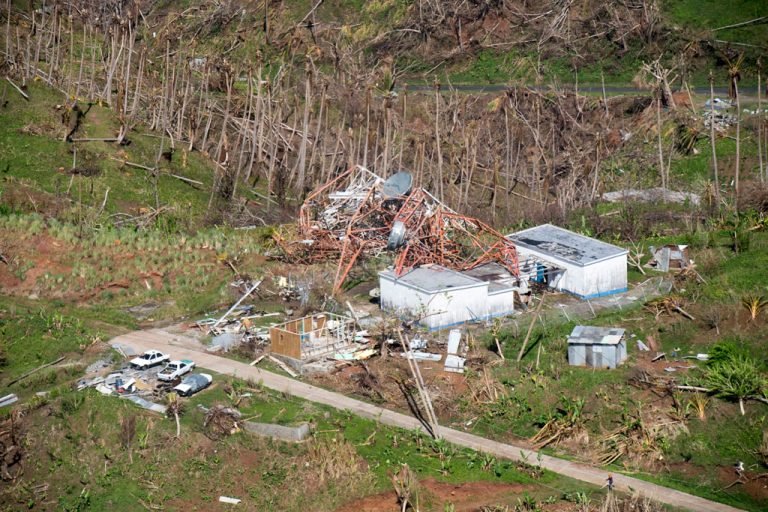 85% de las viviendas en Dominica, dañadas por el huracán