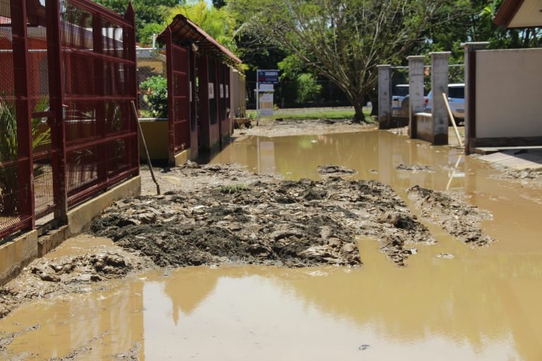 Estudiantes de la UCR proponen diseños de viviendas temporales tras desastres