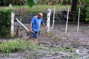 Tormenta Nate afecta más de 124 mil hectáreas de cultivos