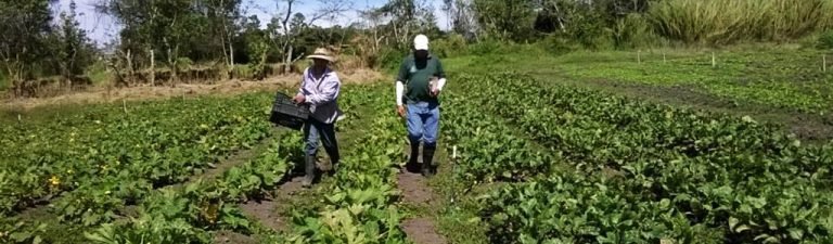 TEC capacita a agricultores del cantón de Oreamuno