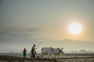 Cómo la Tierra podría caer en un clima incontrolable