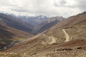 Abren inscripciones para curso gratuito del PNUMA sobre seguridad ambiental y paz