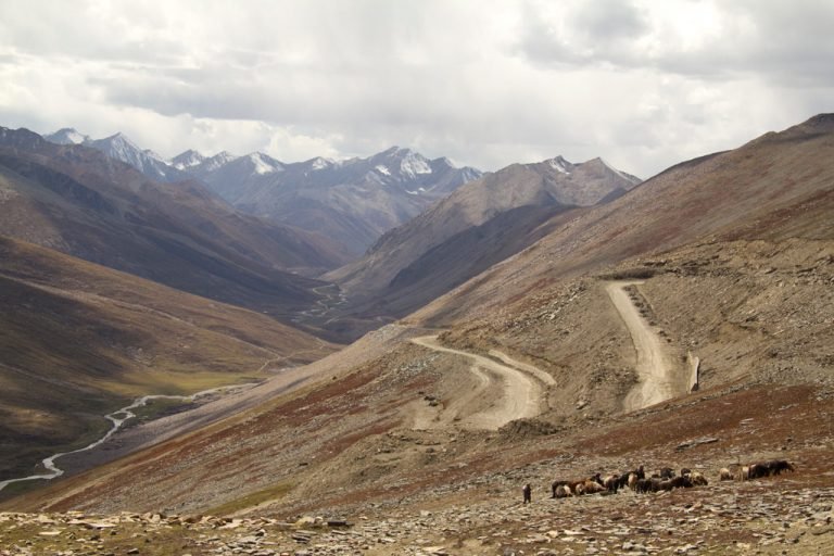 Abren inscripciones para curso gratuito del PNUMA sobre seguridad ambiental y paz