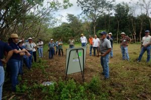 Pequeños productores se ven beneficiados por el fortalecimiento del mercado solidario