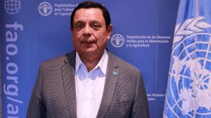 La agricultura familiar es clave para fomentar la seguridad alimentaria, el desarrollo sostenible y erradicar el hambre y la malnutrición