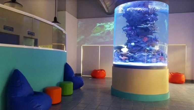 Parque Marino del Pacífico estrena nuevas peceras