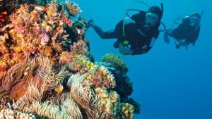 Estudiante de UNA propone primeras pautas para conservación de esponjas marinas